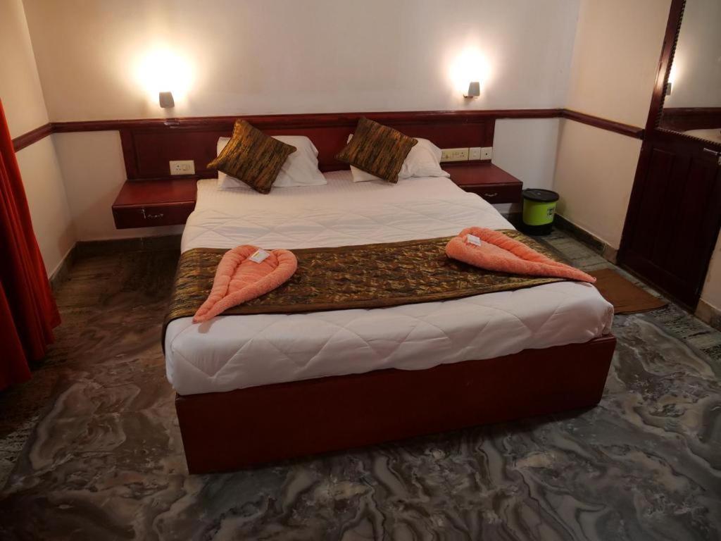 Hosteller'S Varkala Pokoj fotografie